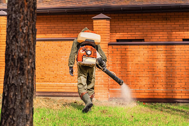 Trusted Termite Control service in Tallmadge, OH - Nex Pest Control